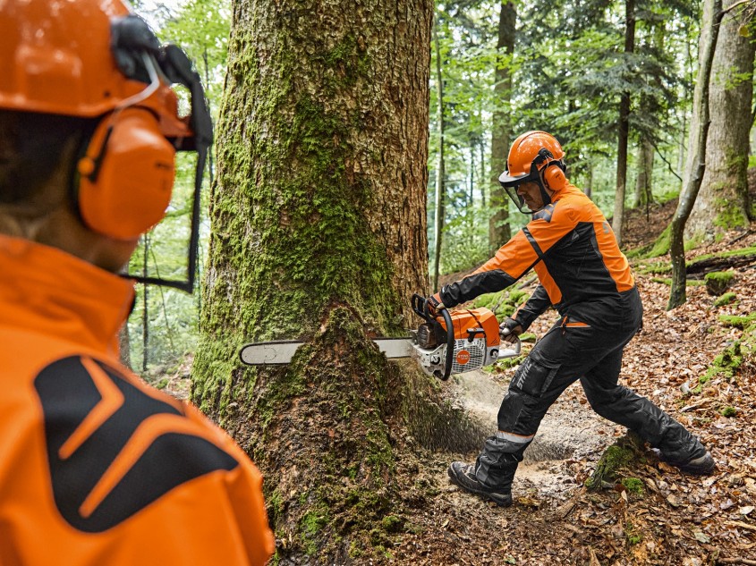 Welches Forstwerkzeug und Zubehör für Waldarbeiter?